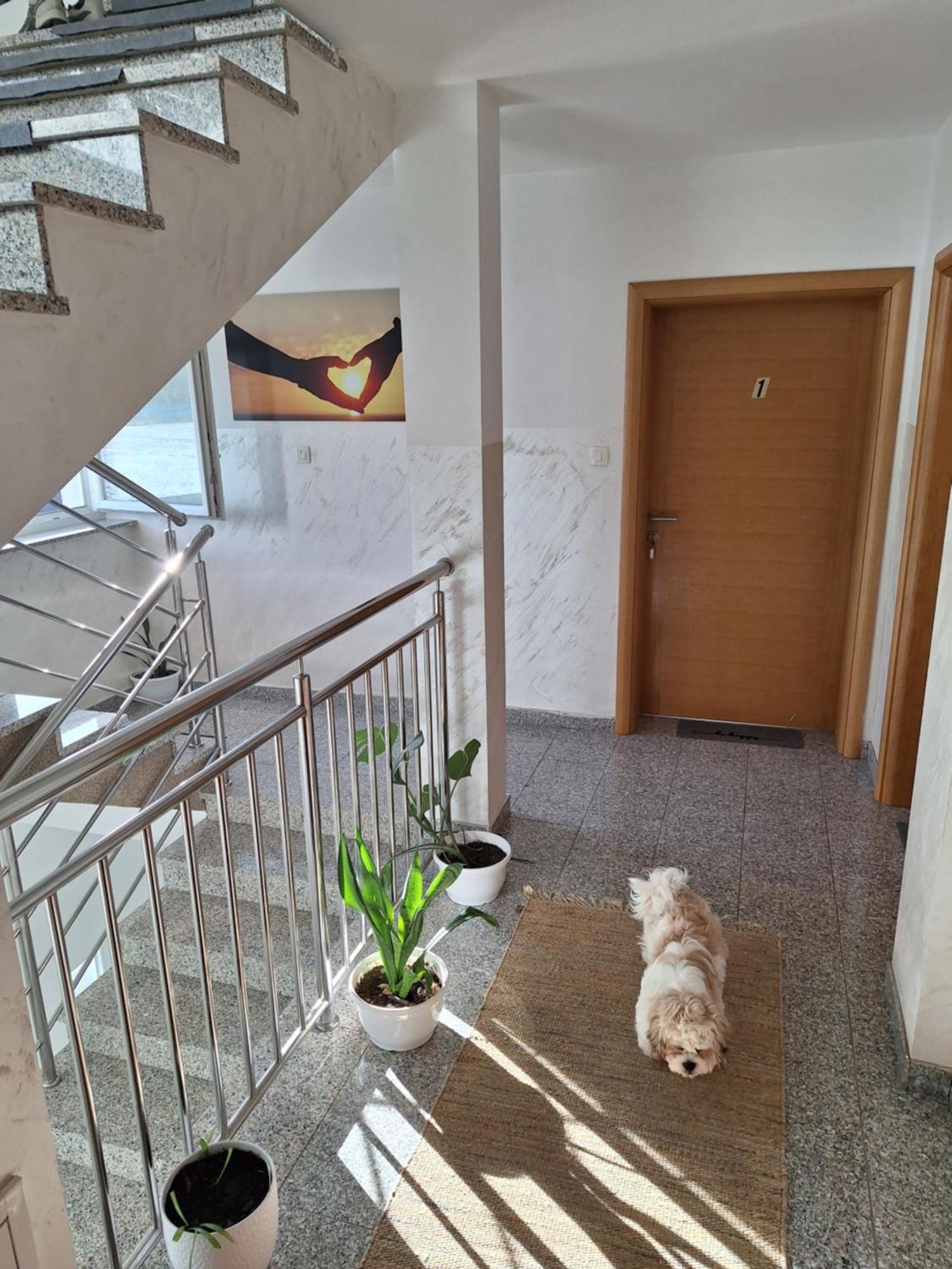 Sobe Sky Hotel Fužine Eksteriør billede